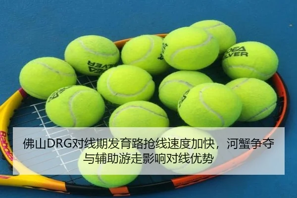 fo-shan-dui-xian-qi-fa-yu-lu-qiang-xian-su-du-jia-kuai-he-xie-zheng-duo-yu-fu-zhu-you-zou-ying-xiang-dui-xian-you-shi-2-438.jpg